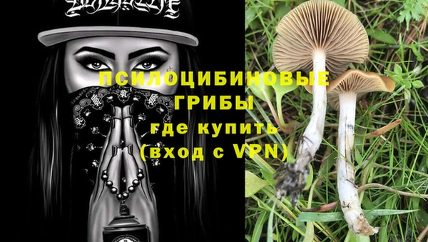 не бодяженный Абаза