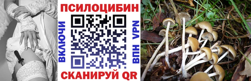 Галлюциногенные грибы мухоморы  KRAKEN онион  Агрыз 